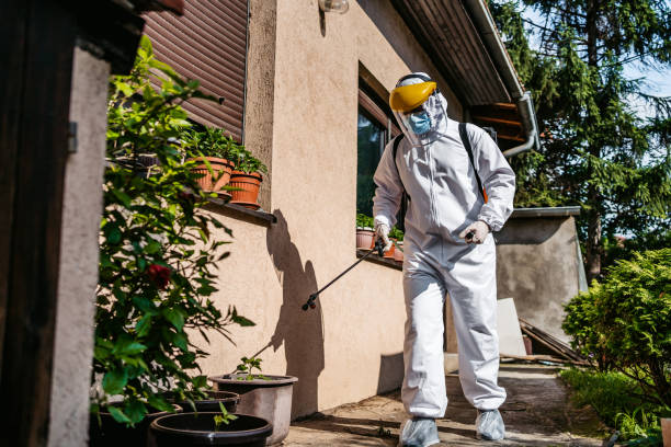 Best Pest Prevention Services  in Tellico Village, TN