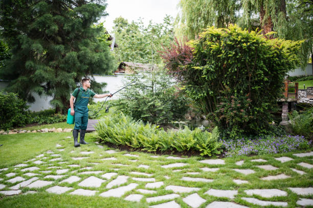 Professional Pest Control in Tellico Village, TN