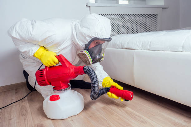 Reliable Tellico Village, TN Pest Control Solutions