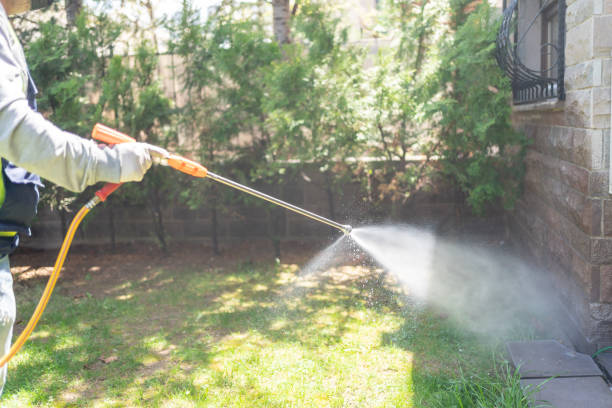 Bird Control in Tellico Village, TN