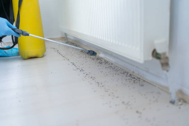 Best Best Pest Control Companies  in Tellico Village, TN